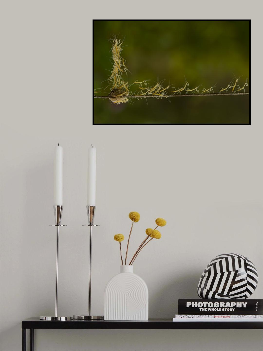 New Born in New Year Poster och Canvastavla