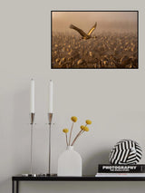 Above The Crowd Poster och Canvastavla