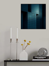 Gonometrics Poster och Canvastavla
