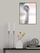 natural beauty Poster och Canvastavla