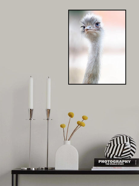 natural beauty Poster och Canvastavla