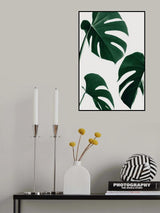 Monstera Nautral 39 Poster och Canvastavla