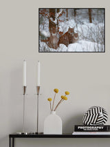 3free Poster och Canvastavla