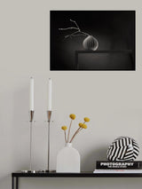 From the series "From the life of a small shelf" Poster och Canvastavla