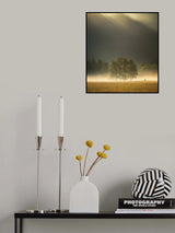 Morning light Poster och Canvastavla