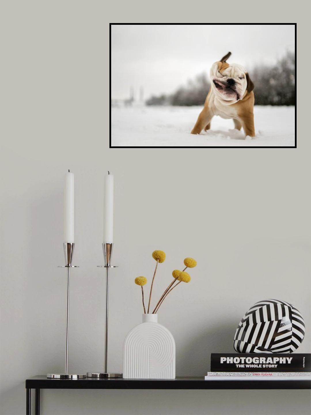 Shake! Poster och Canvastavla