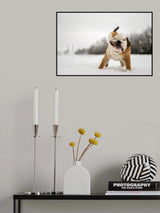 Shake! Poster och Canvastavla