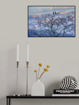 Remaining persimmon Poster och Canvastavla