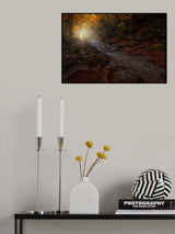 The Season of the Fall Poster och Canvastavla