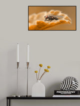 Autumn dream... Poster och Canvastavla