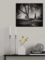 Trees, shadows and signs on Montana Avenue Poster och Canvastavla