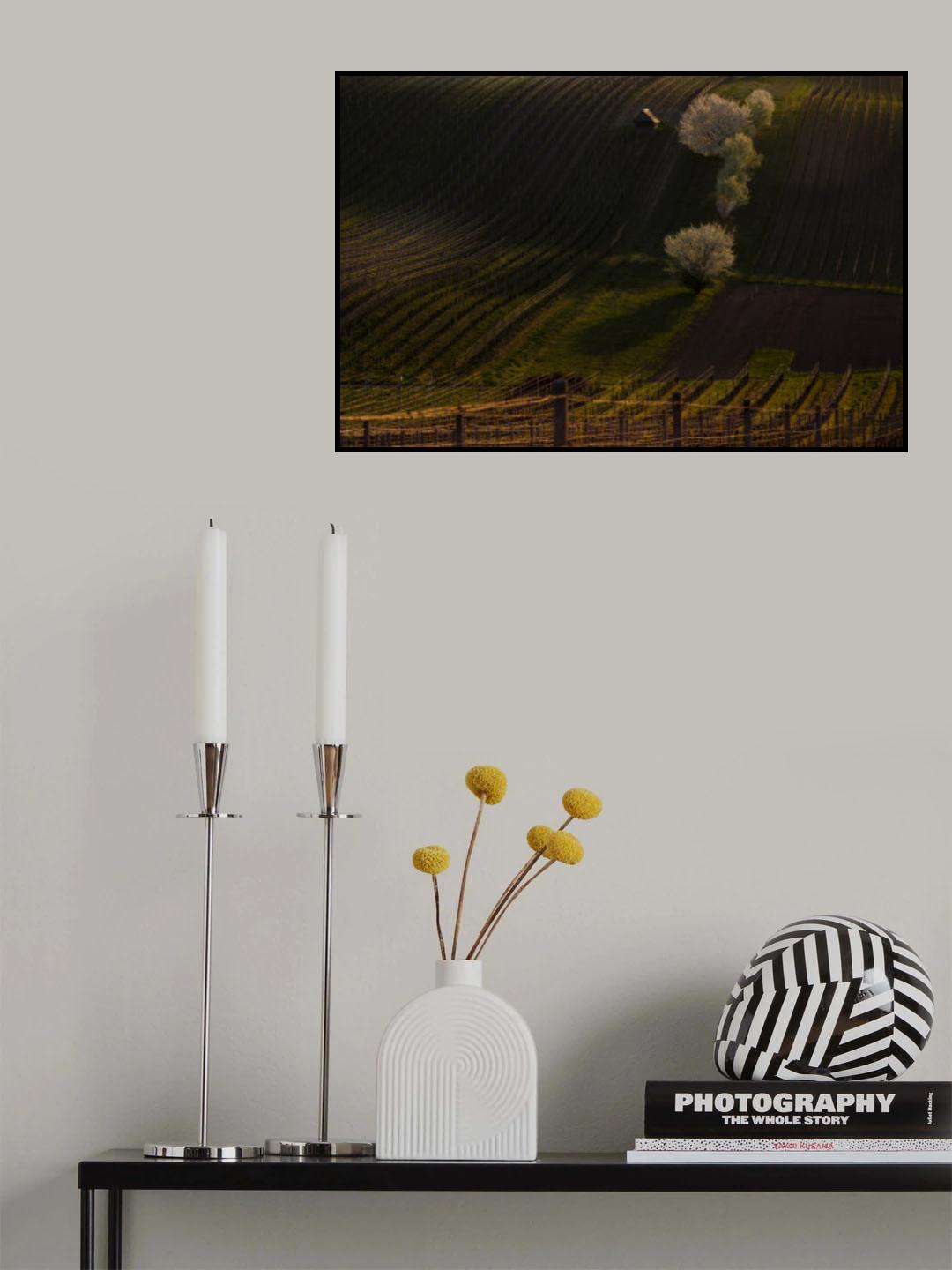 Moravia 10 Poster och Canvastavla