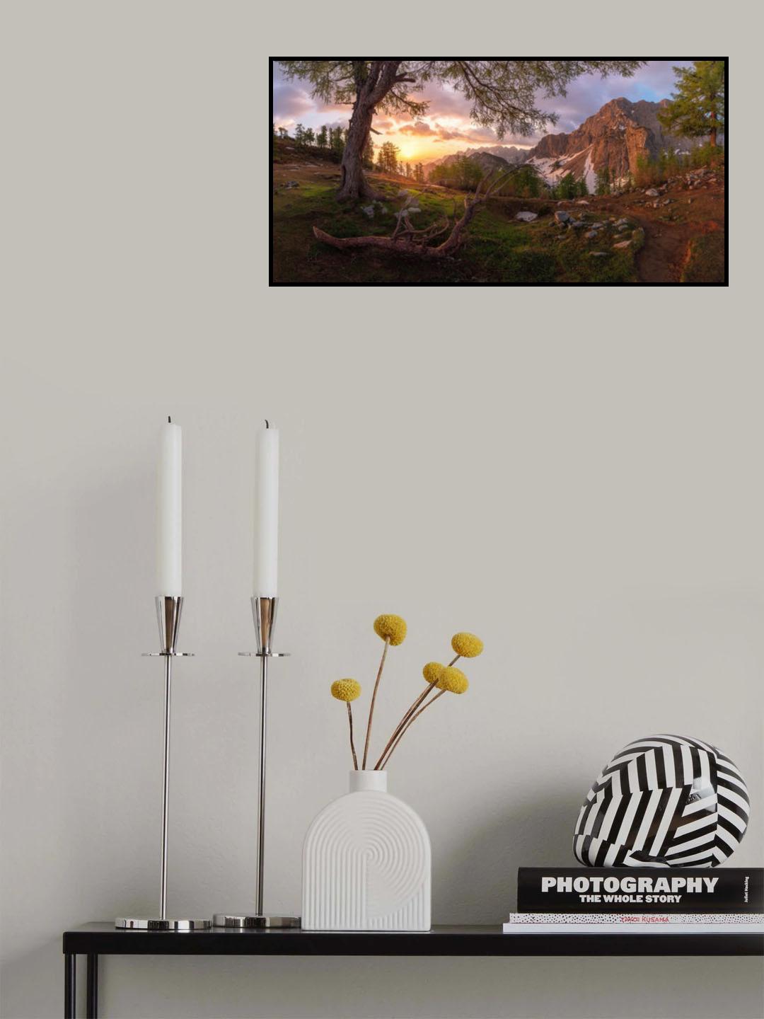 Magical morning Poster och Canvastavla