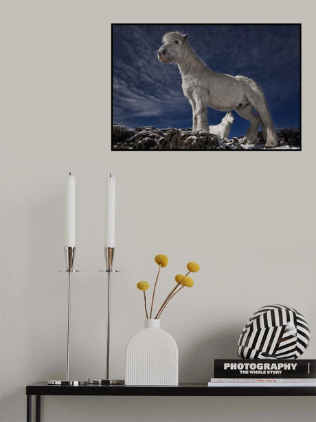 Partners II Poster och Canvastavla