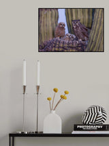 Great Horned Owl Poster och Canvastavla