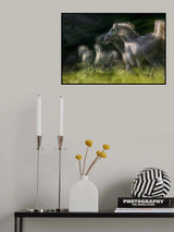 hiiia Poster och Canvastavla