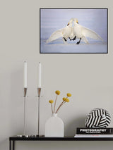 Love Dance Poster och Canvastavla