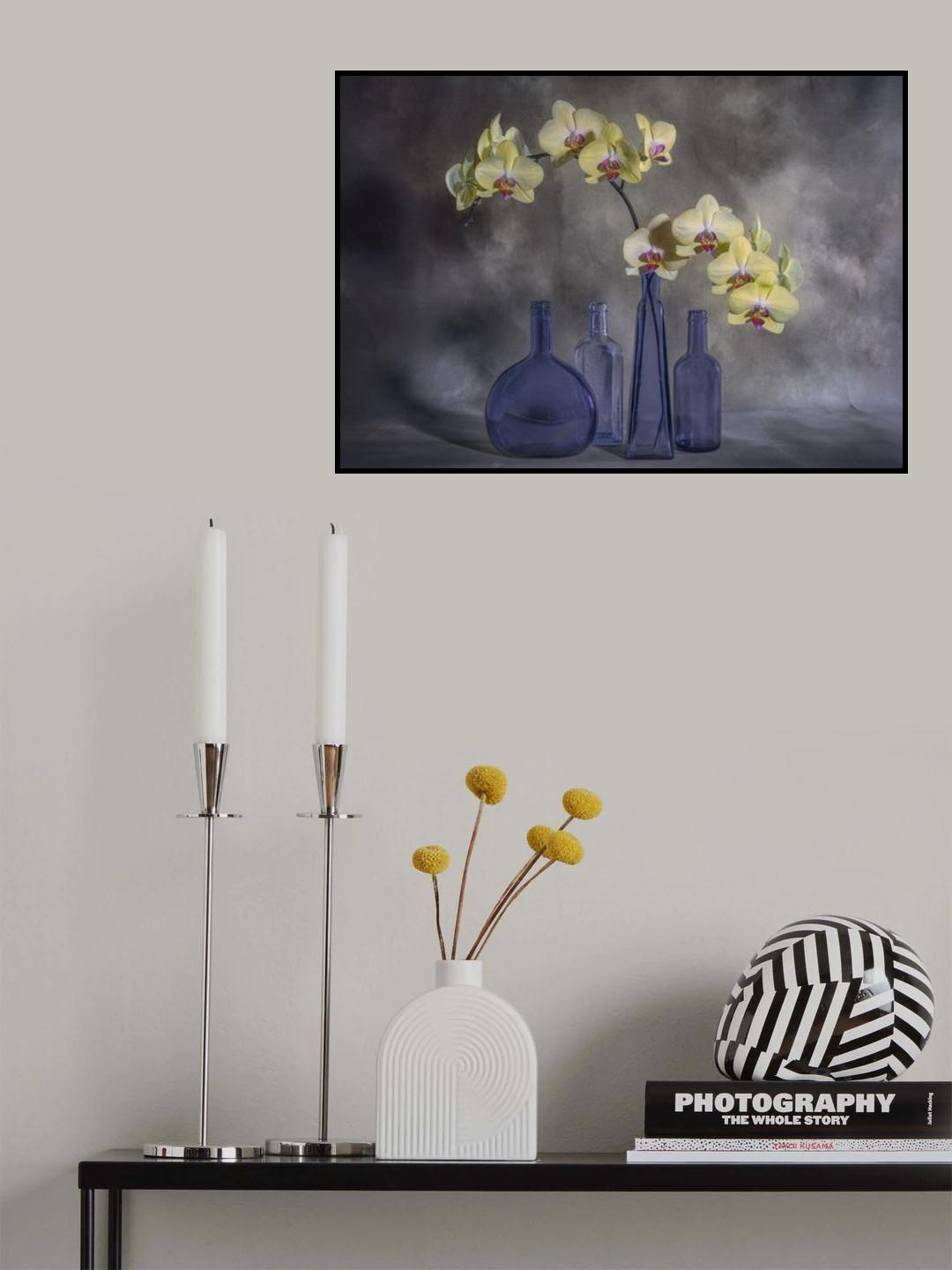 Orchids Poster och Canvastavla