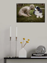 At first sight Poster och Canvastavla