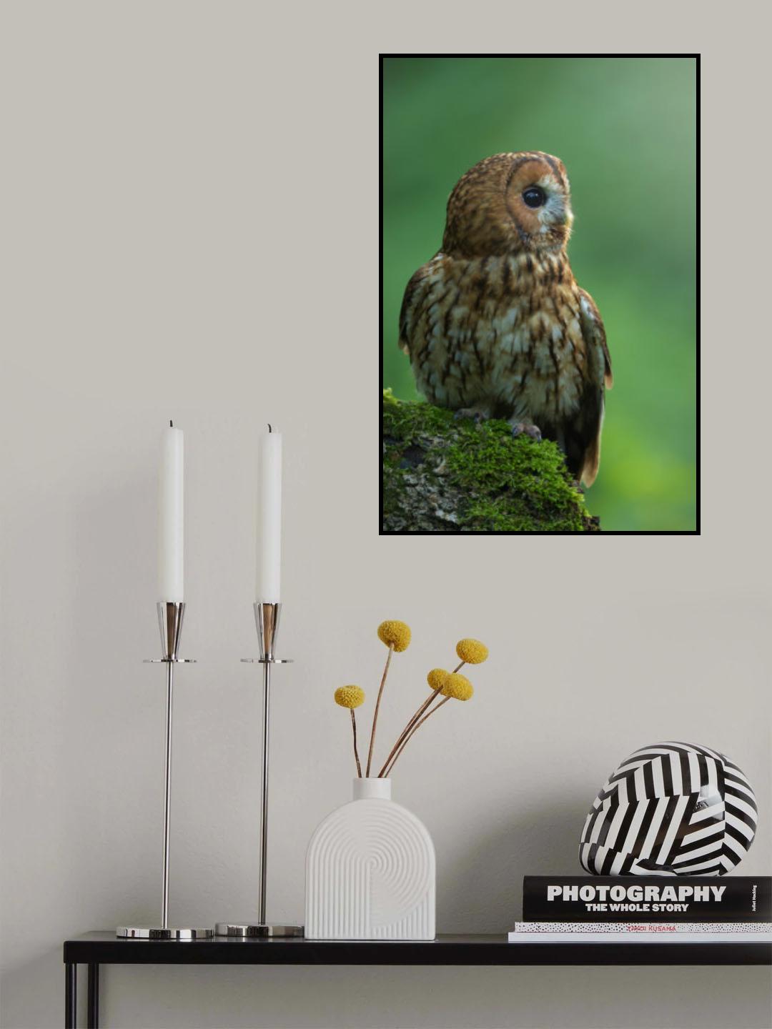 In the wood Poster och Canvastavla