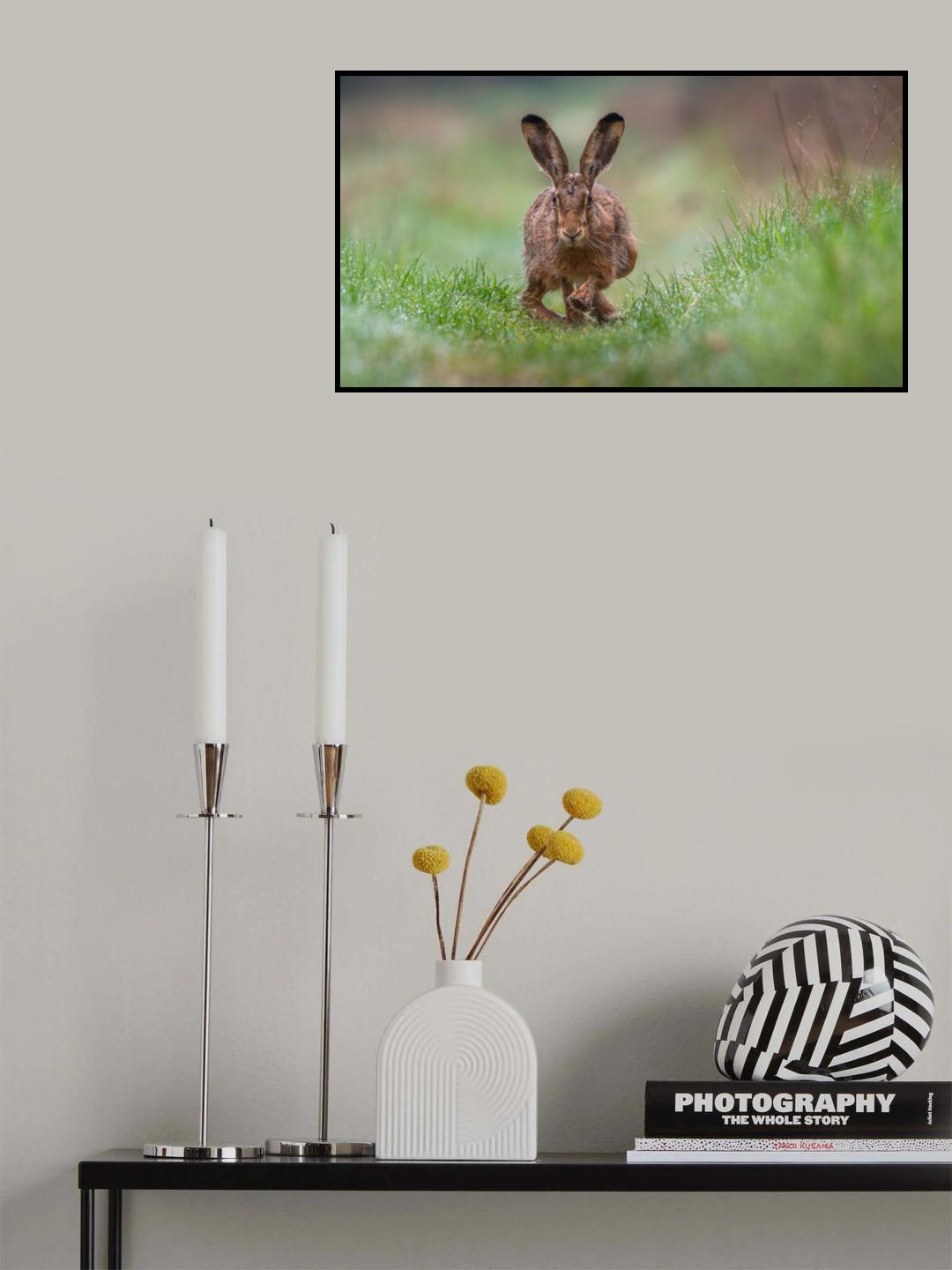 Poster och Canvastavla