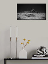 Look ! Poster och Canvastavla