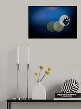 hikari Poster och Canvastavla
