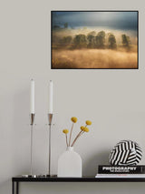 Sunrise veil Poster och Canvastavla