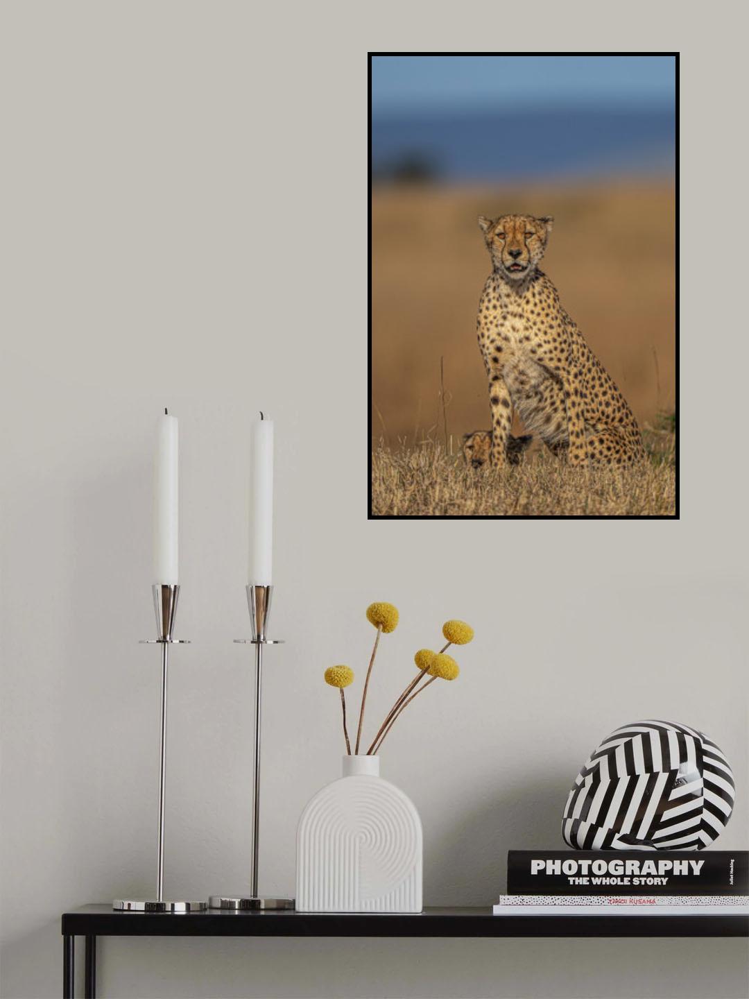 Cheetah Poster och Canvastavla