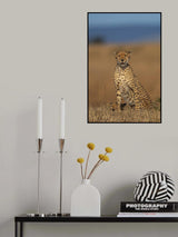 Cheetah Poster och Canvastavla