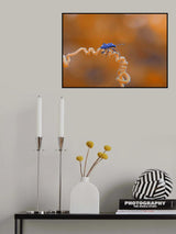 Sinuous road... Poster och Canvastavla
