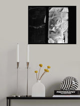 E,2 Poster och Canvastavla
