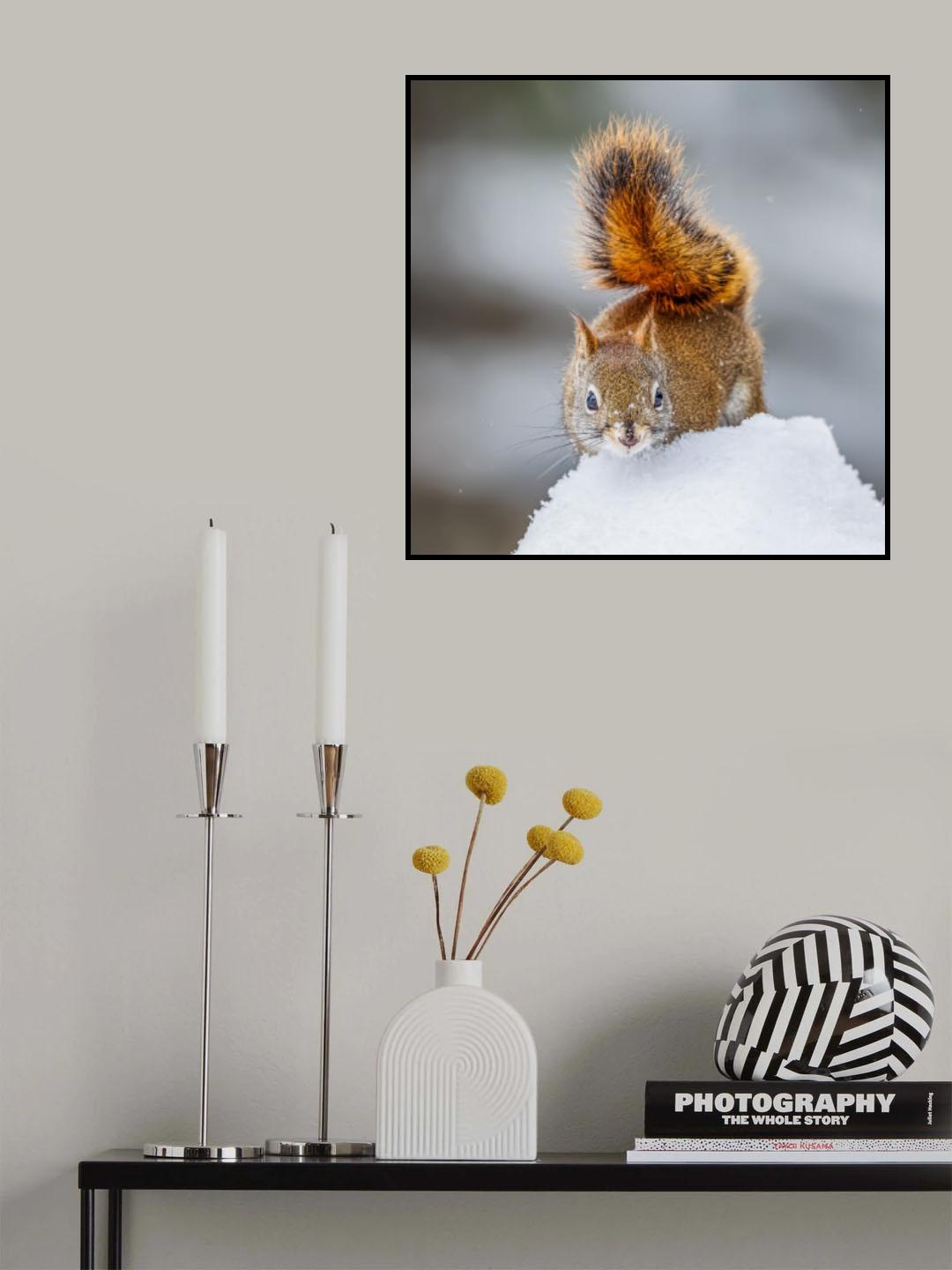 Watdching Poster och Canvastavla