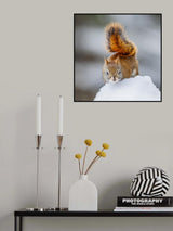 Watdching Poster och Canvastavla