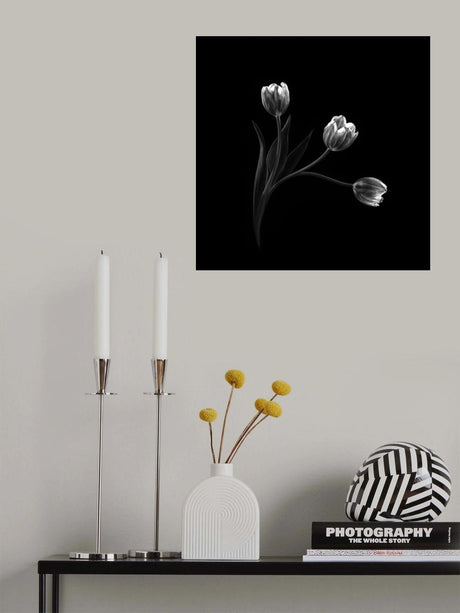 Trio Poster och Canvastavla