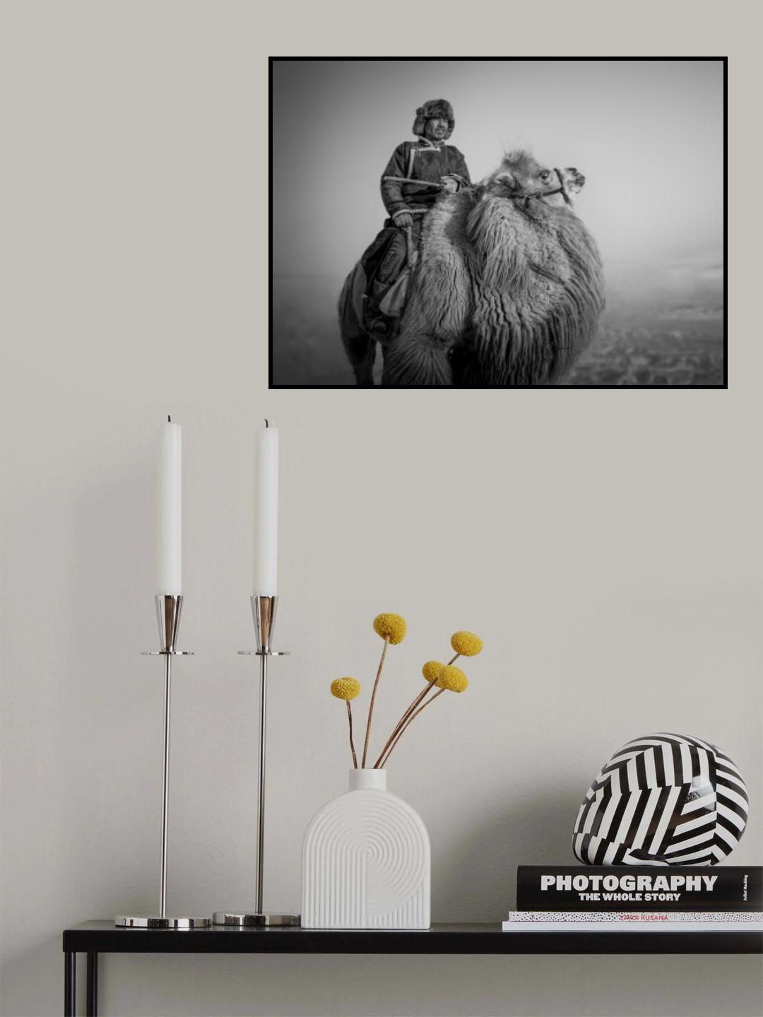 Farmer and His Camel Poster och Canvastavla
