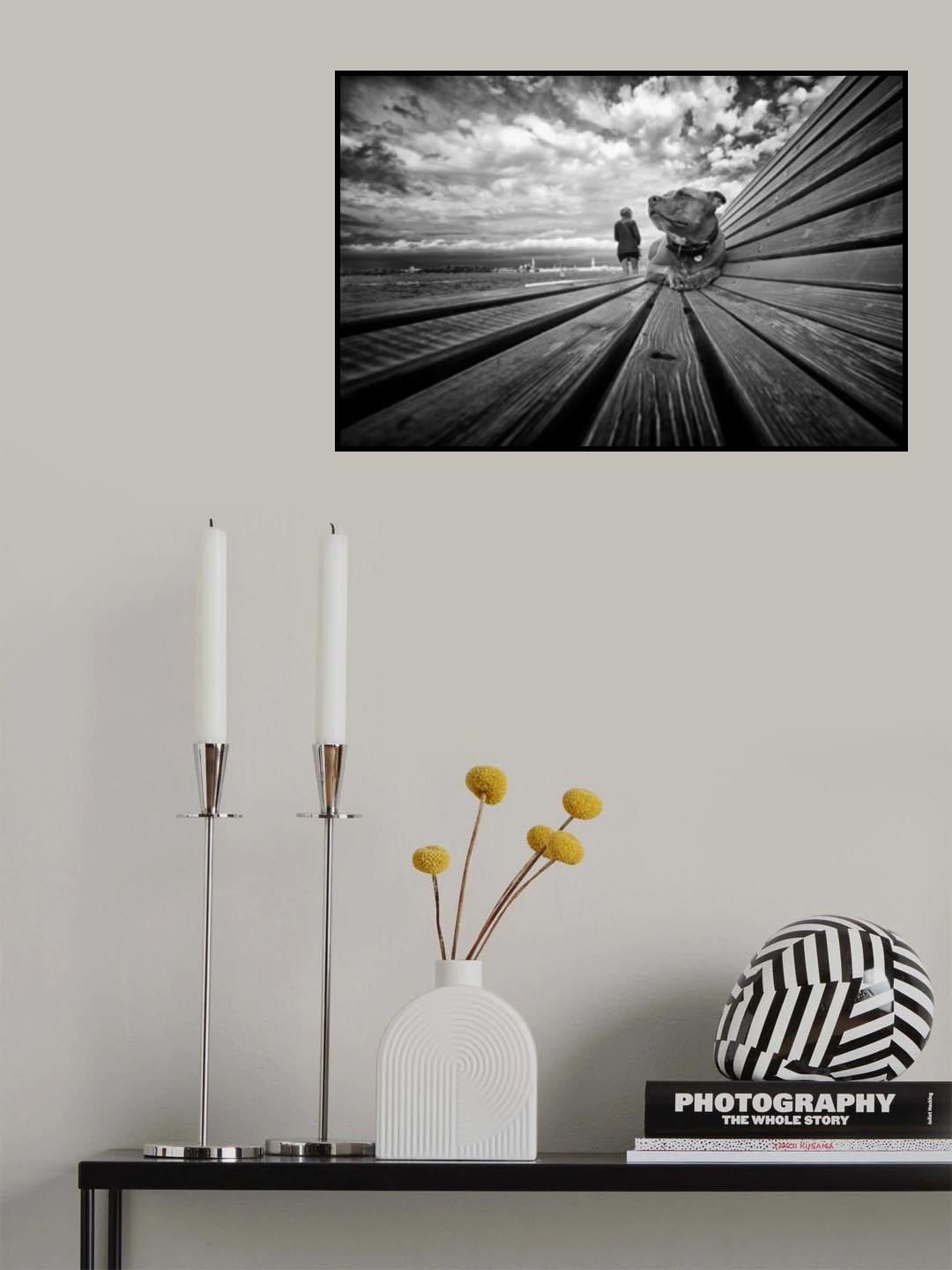 Noa Poster och Canvastavla