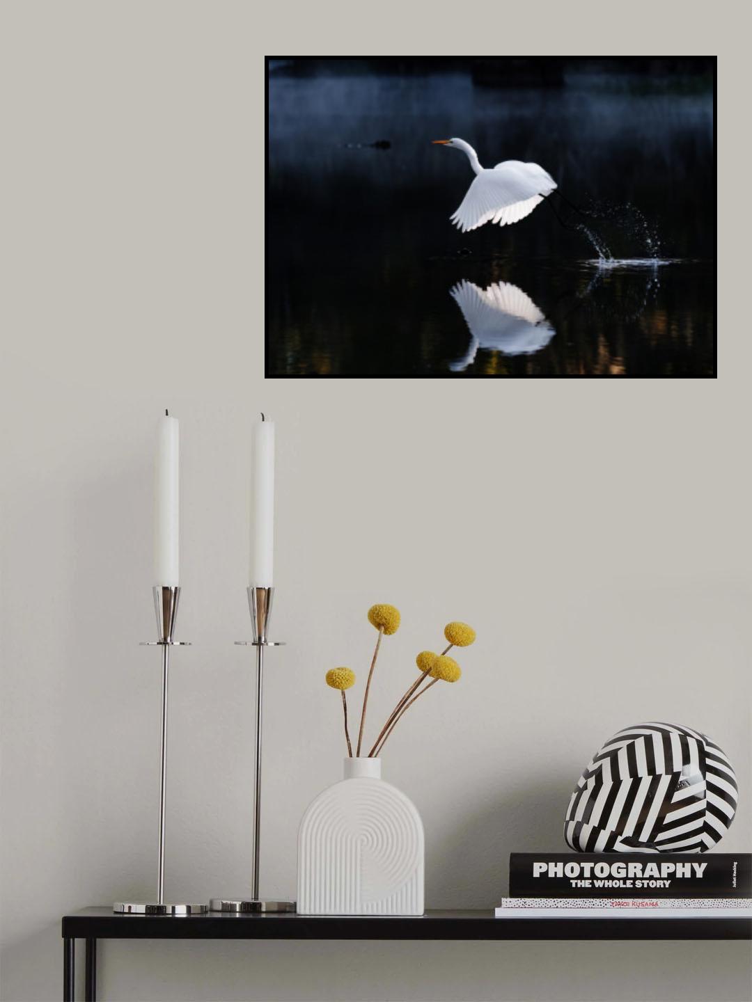 Reflection Poster och Canvastavla