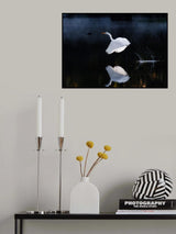 Reflection Poster och Canvastavla
