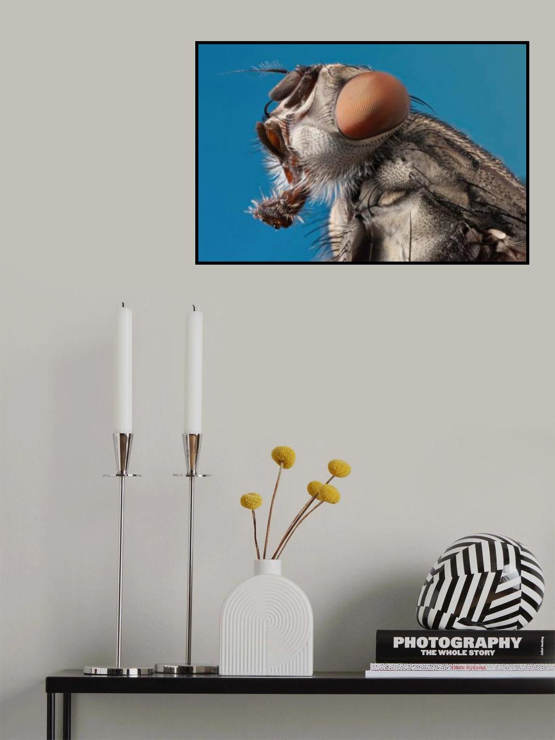 fly Poster och Canvastavla