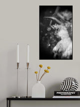Agony Poster och Canvastavla