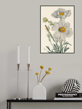 Matilija Poppy Poster och Canvastavla