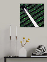 Belvedere Poster och Canvastavla