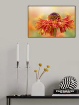 Flame Poster och Canvastavla