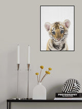 Peekaboo Baby Tiger Poster och Canvastavla