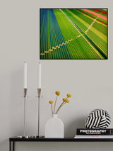 Aspiring Steps Poster och Canvastavla