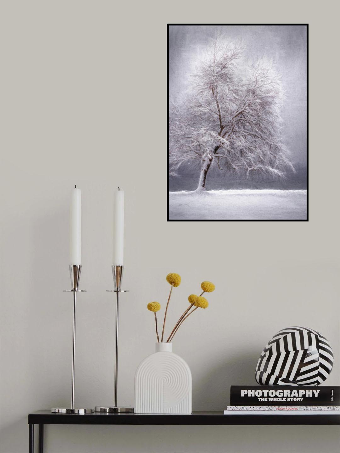 Winter at the lake Poster och Canvastavla