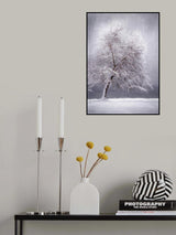 Winter at the lake Poster och Canvastavla