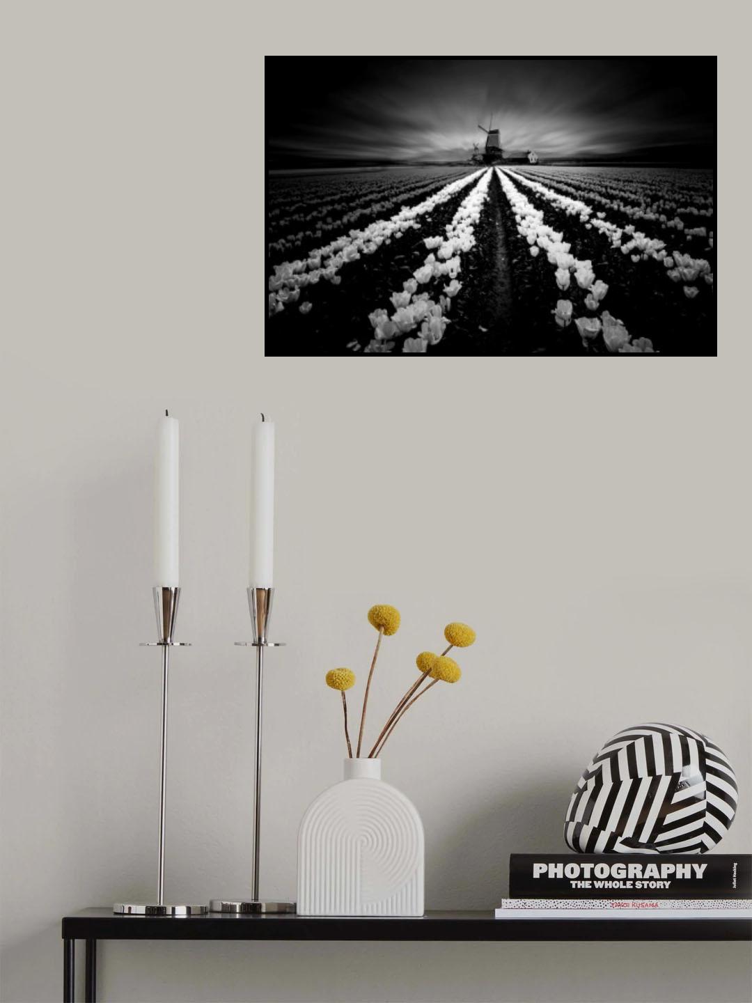 Tulip and Windmill Poster och Canvastavla