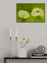 Hi, We Look You Poster och Canvastavla